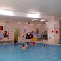 фото Детский бассейн Дельфин 3