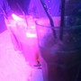 фото Ночной клуб Mandarin Club 3