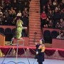 фото Сочинский государственный цирк 6