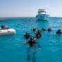 фото Дайвинг-клуб Немо.ру 5