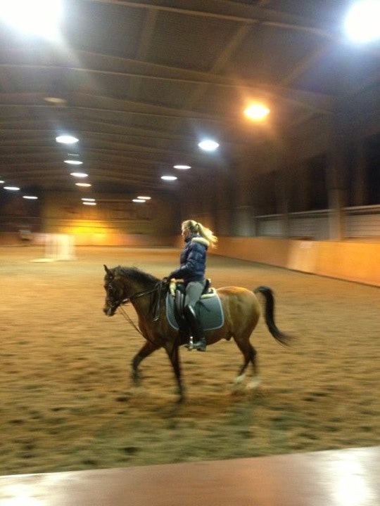 кск еду. кск еду. кск еду. самохина конкур. кск невада.