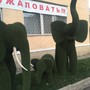 фото Частный учебно-воспитательный комплекс Просвіта 4