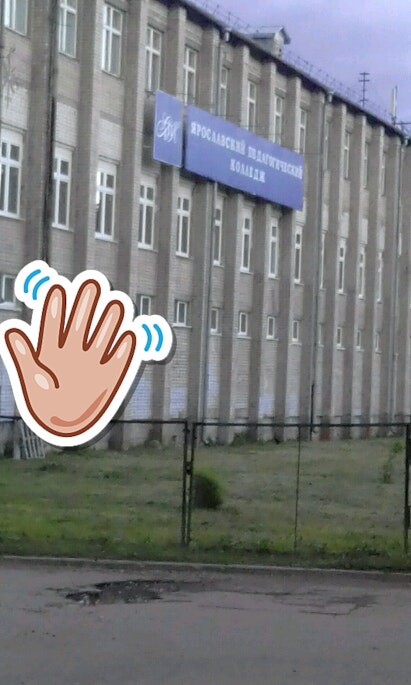 пед колледж ярославль. логотип ярославского педагогического колледжа. педагогический ярославский колледж комиссия. педколледж ярославль официальный сайт. ярославский педагогический колледж.