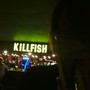 фото Бар Killfish Discount Bar 5