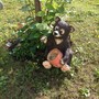 фото Детский сад №42 компенсирующего вида для детей с нарушением зрения 2