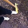 Гоу воскресенск адрес