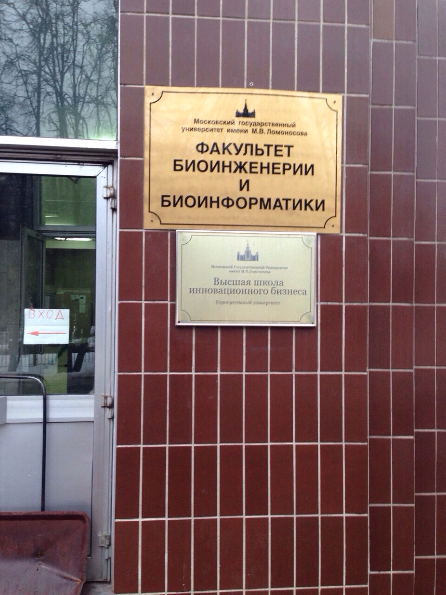 Фбб мгу логотип. Мгу факультет биоинженерии василина. Мгу биоинженерия и биоинформатика. Факультет биоинженерии и биоинформатики мгу. Факультет биоинформатики мгу.