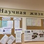 фото ИМСГС Институт международных социально-гуманитарных связей 5