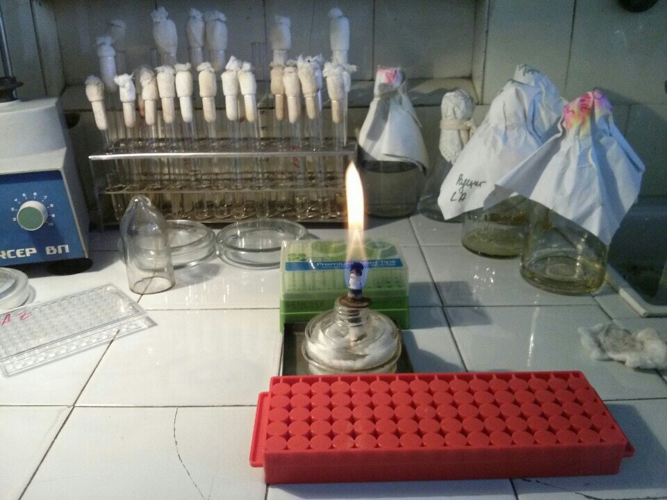 н. иоген ран. генетик институт москва. генетик институт москва. генетик институт москва.