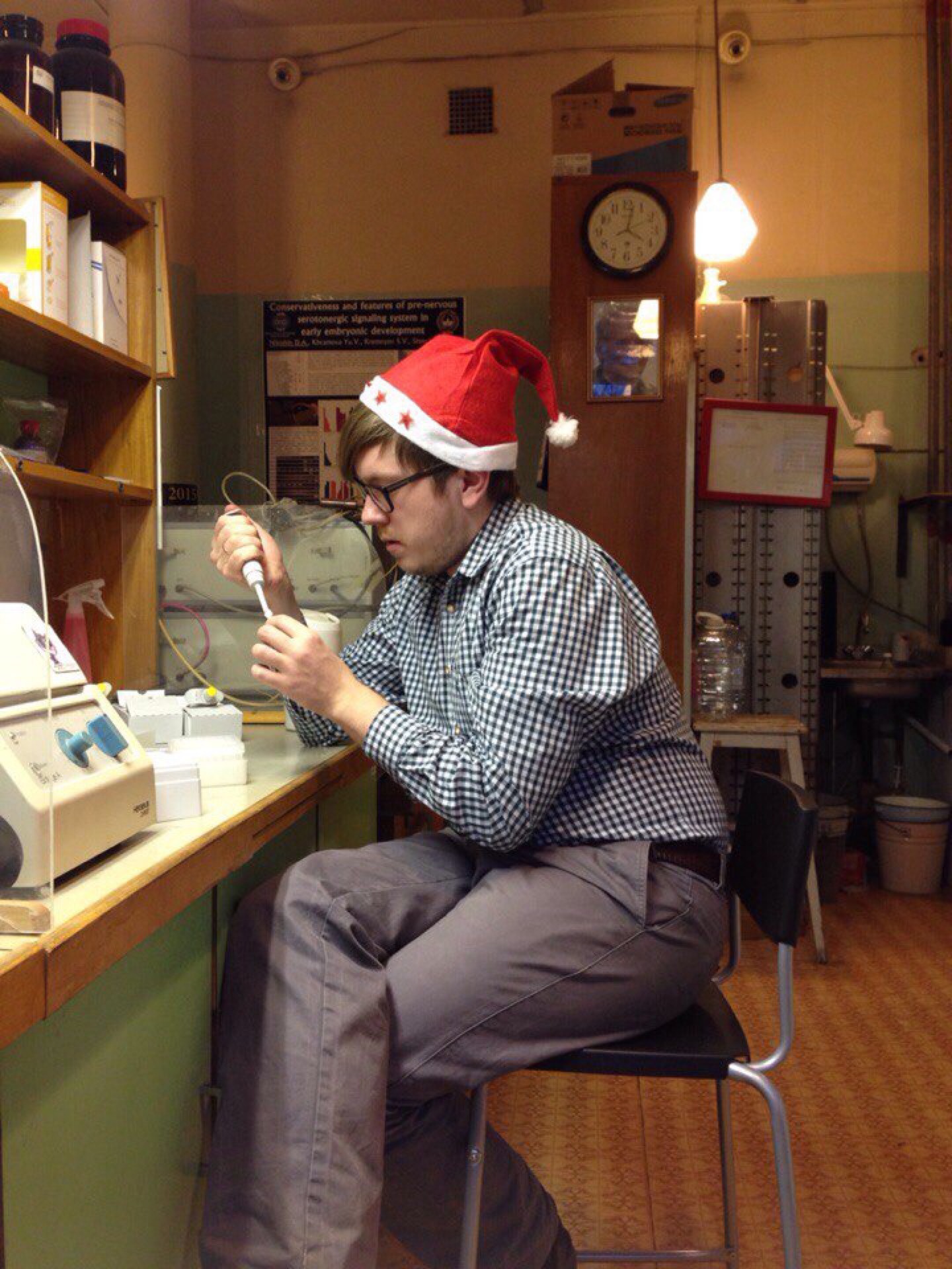 институт биологии развития им н к кольцова ран. институт развития ран. н. дво ран логотип. институт развития ран.