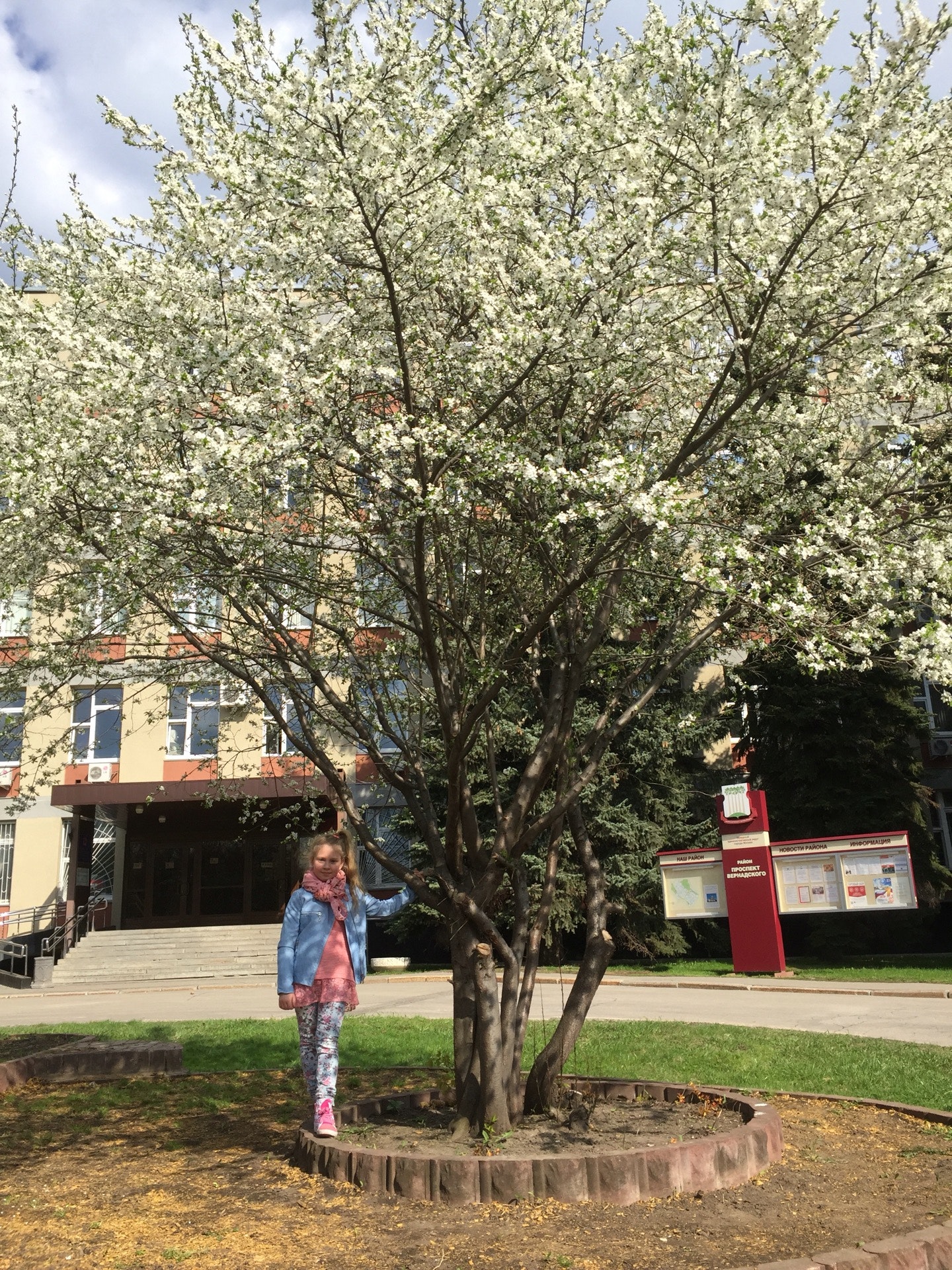 москва, улица лобачевского, 66а. шуберт концерт. математический дивертисмент. оркестр шуберта. музыкальная школа шуберта.