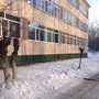 фото Экономическая гимназия МБУ 1