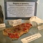 Геологический музей