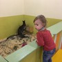 фото Контактный зоопарк Лесное посольство 2