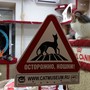фото Культурно-музейный комплекс Республика кошек 4
