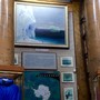 фото Российский государственный музей Арктики и Антарктики 10