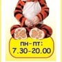 фото Центр раннего развития Тигренок 2