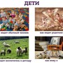 фото Центр детского развития Чудо-Сад 2
