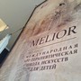 фото Арт-терапевтическая школа Melior 8