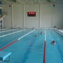 фото Бассейн БФУ 3
