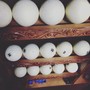 фото Бильярдный клуб Гладиатор 5
