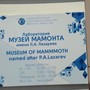фото Музей мамонта НИИ прикладной экологии Севера 4
