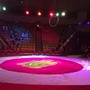 фото Кировский государственный цирк 9