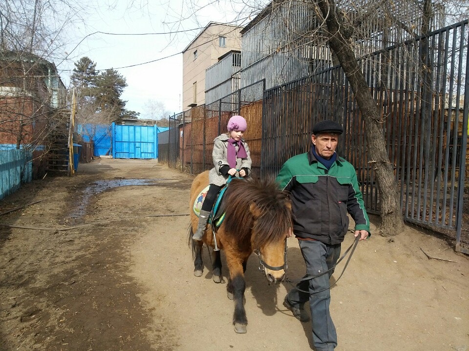 Читинский городской зоопарк