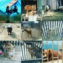 фото Читинский городской зоопарк 10