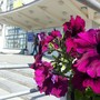 Чем заняться в миассе в выходные. Смотреть фото Чем заняться в миассе в выходные. Смотреть картинку Чем заняться в миассе в выходные. Картинка про Чем заняться в миассе в выходные. Фото Чем заняться в миассе в выходные