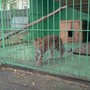 фото Зоологический центр Питон 9