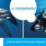 Международный языковой центр Language Link