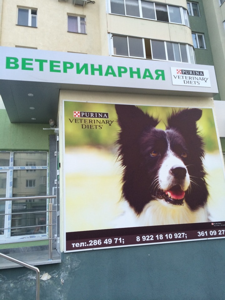Панорама: Дядя Фёдор, ветеринарная клиника, ул. Свердлова, 51, Тольятти - Яндекс