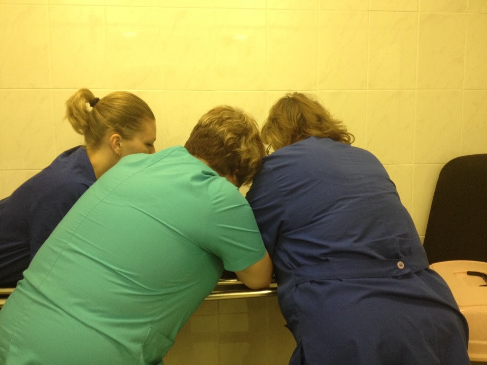 Ветклиника центр мив. Мив ветеринарная. 10. Миве сергеевна. Мив ветеринарная.