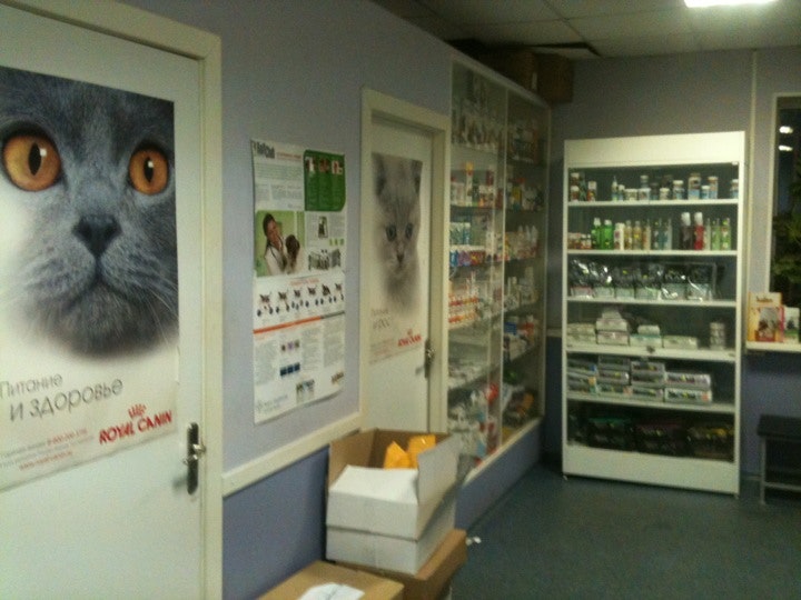 Альфавет просп ленина 114 отзывы. Альфавет просп ленина 114 отзывы. Альфа вет губкин. Альфавет барнаул. Ленина, 23.