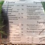 фото Кафе Русский Размер 3