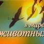 фото Общежитие ВШЭ 11