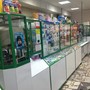 фото Аптека 4