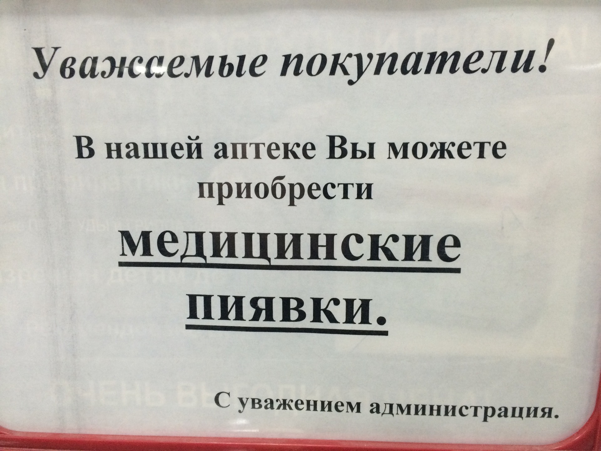 Где Купить Пиявок В Москве В Аптеке