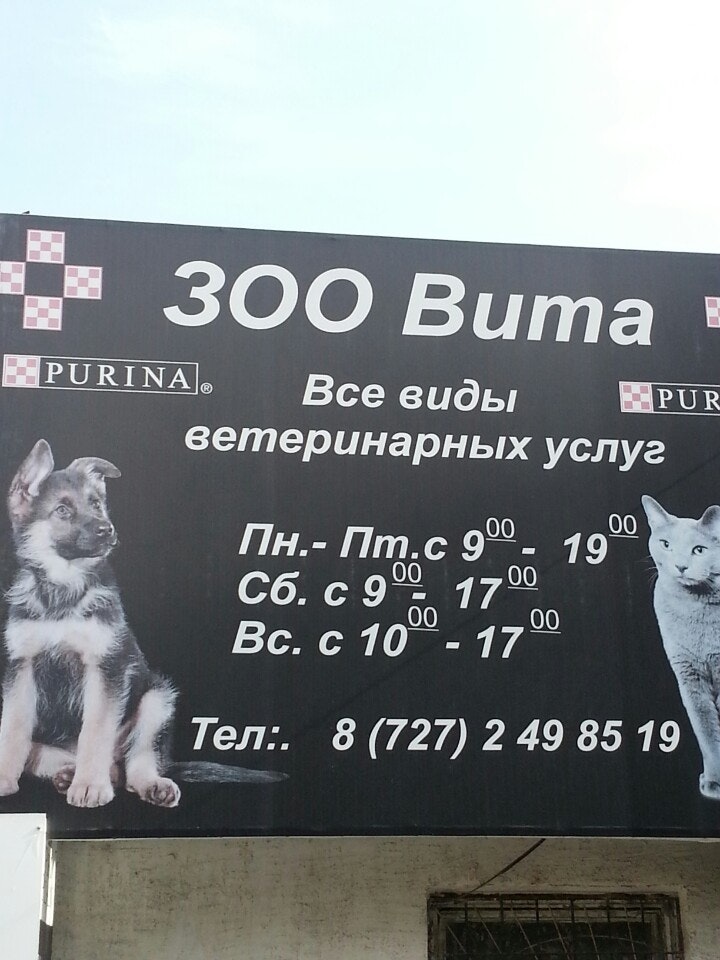 Зоовита. Клиника зоовита. Зоовита. Зоовита волоколамск телефон ветеринарная клиника. Ветеринарная клиника зоовита динская.