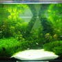 фото Акванариум 4