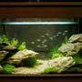 фото Акванариум 7