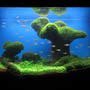 фото Акванариум 2