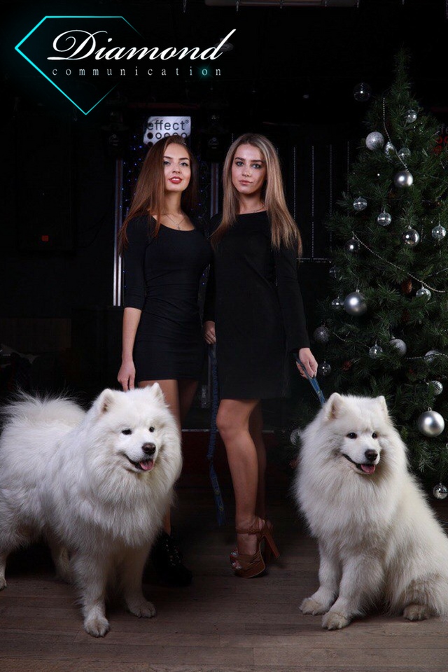 Diamond communication спб. Diamond communication ночной клуб. Diamond communication. Вакансии модель спб. Модельное агентство диамонд коммуникейшен.