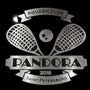 фото Сквош-клуб "PANDORA" 2