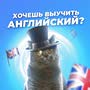 фото Центр иностранных языков Like English на Московском проспекте 9