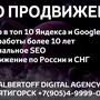 фото Albertoff Создание и продвижение сайтов в Пятигорске 8