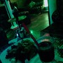 фото Бар-кальянная Shisha 6