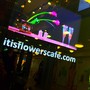 фото Itis Flowers Cafe 3