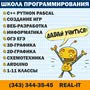 фото Школа информационных технологий "Real-IT" 13